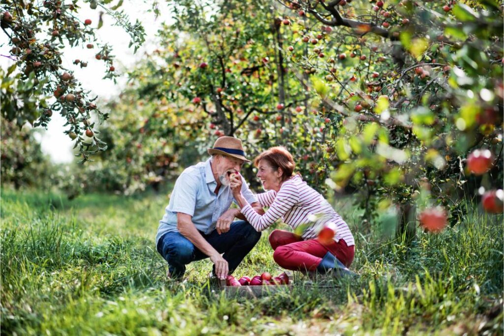 alimentation implant sous perosite