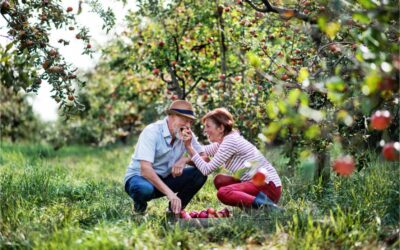 Alimentation et implants sous périostés